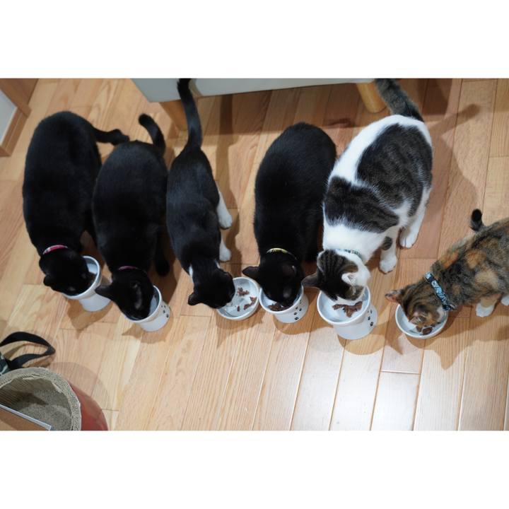 B884a316 6573 435d 8828 76738379ec34 1581982600770