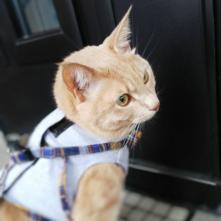 B884b24b 50bd 4dd0 807e a346a3cd9c78 1571698754650