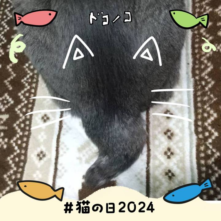 B884e766 4d15 4357 a7ae 1e329ce6ae9d 1708591244620