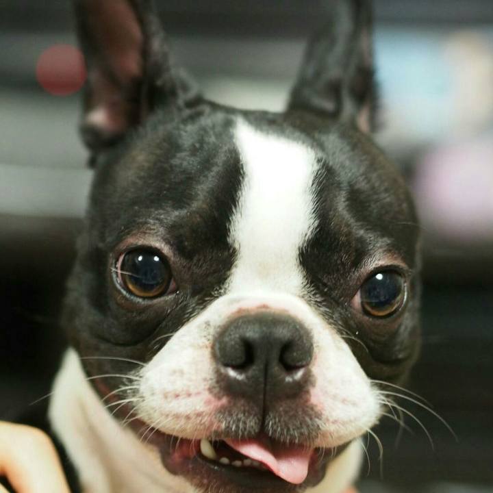 B8850c2b bd2a 455f a627 86f8370bbd54 1522158771469