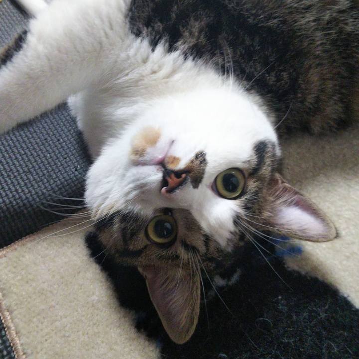 B8852349 da58 49f1 b8c7 9801bbd39e1a 1626735972664