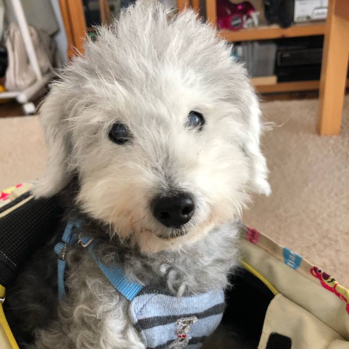 B8855413 e4a7 4b75 96b0 9f5312736868 1664857781326