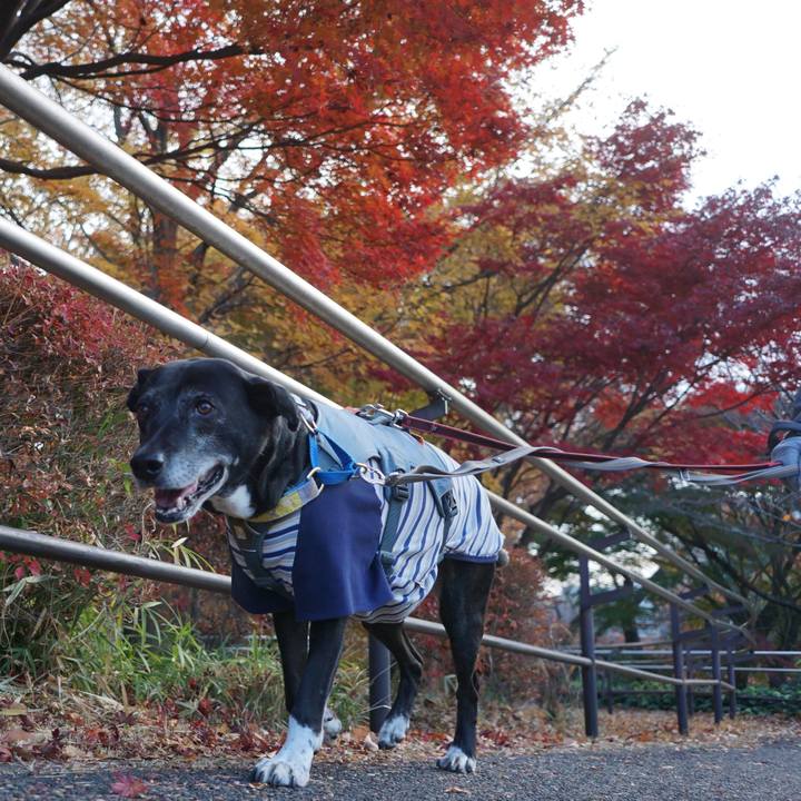 B88586d5 ca95 4a5d 89b1 10c1d253ee5c 1764551929316