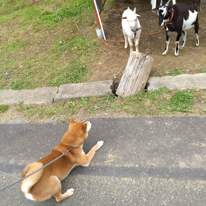 B885895d 7c1f 4b1c bcc6 627f2bdb9b26 1526854336778