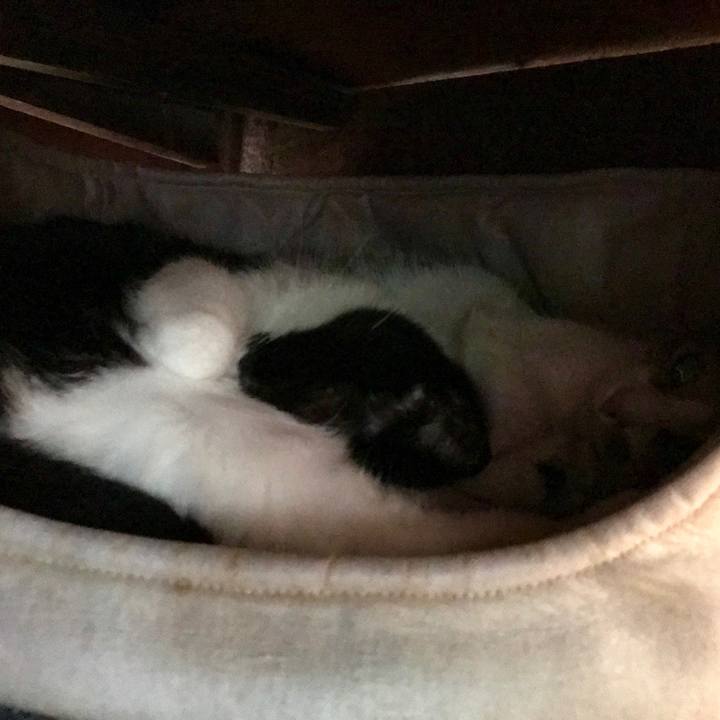 B88593af 7488 4fcd 9e8a 934ca9075cf3 1510134765704