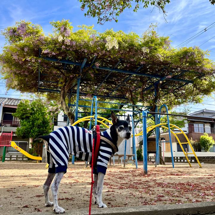 B885a1f2 caad 42f5 b2a2 bb8fee4c7d01 1650156553038