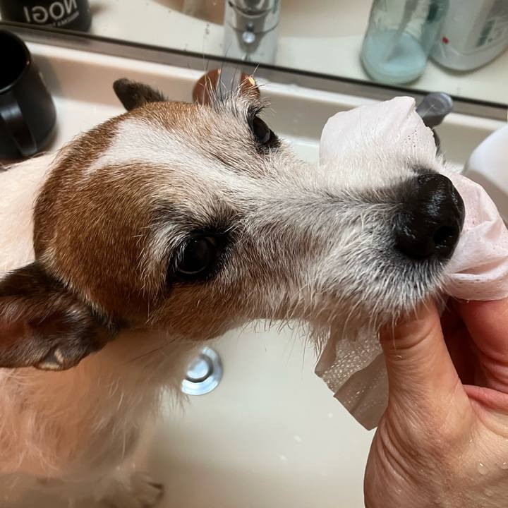 B8860726 78cd 4de6 8e95 3d77f3e98497 1670633924092