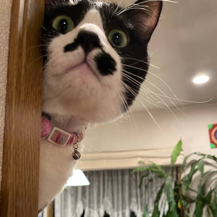 B8861c57 032a 47f1 a3de 289aefb3b991 1651308130857