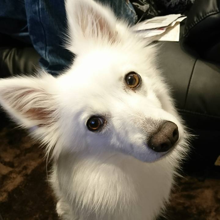 B8863bce 70c5 46d6 a105 a229a94f9f7c 1521900091857