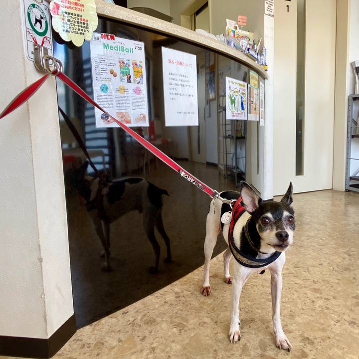 B886847f 86e1 4433 a624 41b2ab1d5ab8 1598065033240