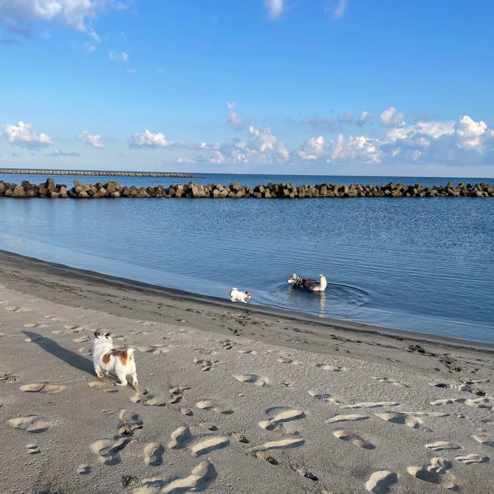 B8869e55 0f70 41cb b1e7 d140bc888004 1698276934930