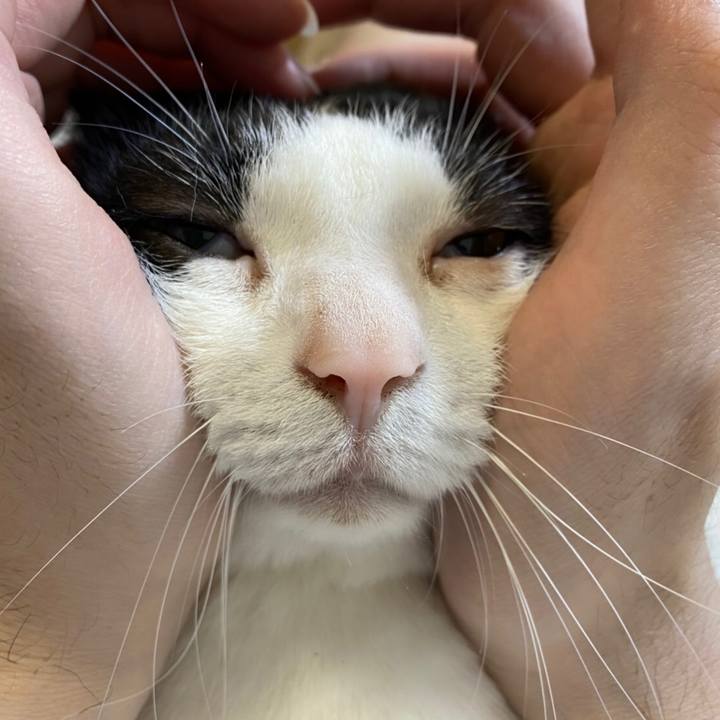 B886b7d4 0472 4e55 ba84 e60cc8a105ff 1618996887362