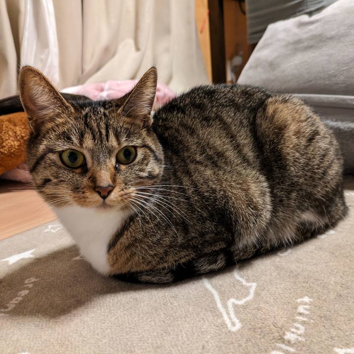 B886c7c1 7a23 4dc8 a740 b593a88c5a6a 1701268686193