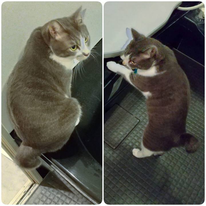 B886ee55 5193 49b7 85d0 46a5ebbcdbee 1635340629075