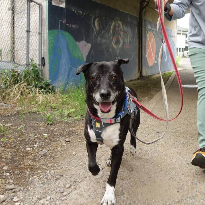 B8871915 8979 49c1 9480 34baaef4f336 1747355663371