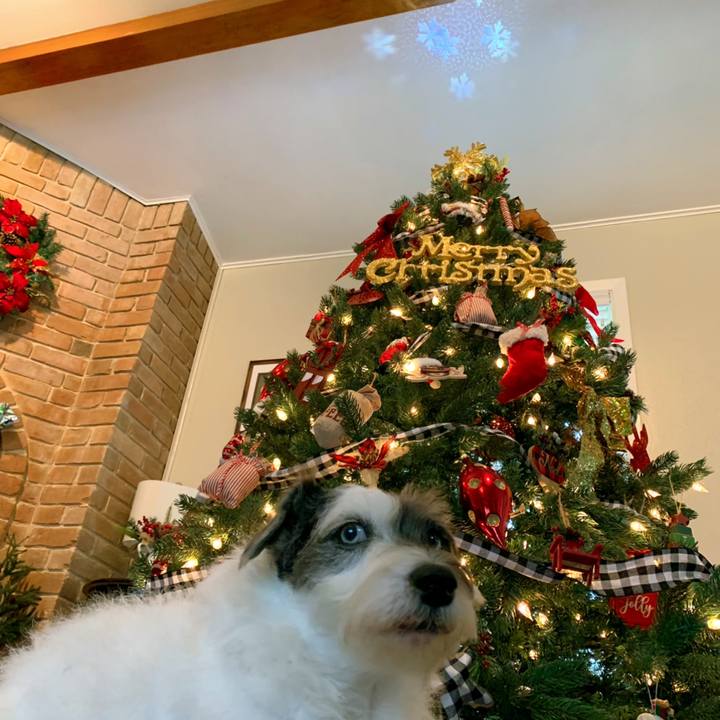 B88727ff f199 4136 ace0 c8845b191633 1638741369843