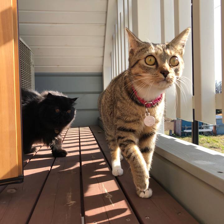 B8878172 c483 4bb5 b2bc 5a51274c4dd0 1581129822964