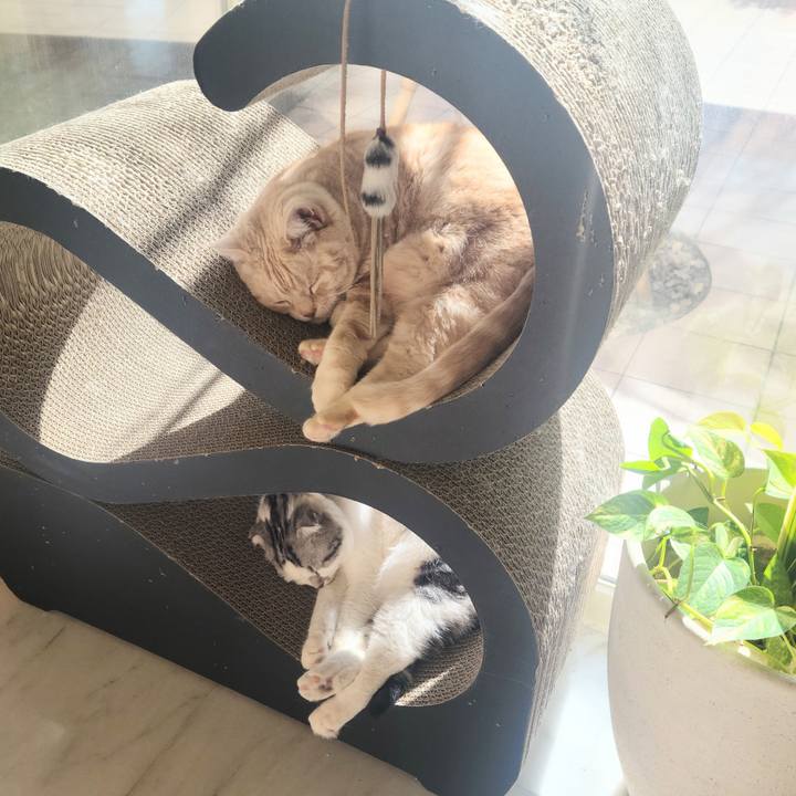 B88790f8 307b 414f 8d09 f99aeac767b4 1676339395693