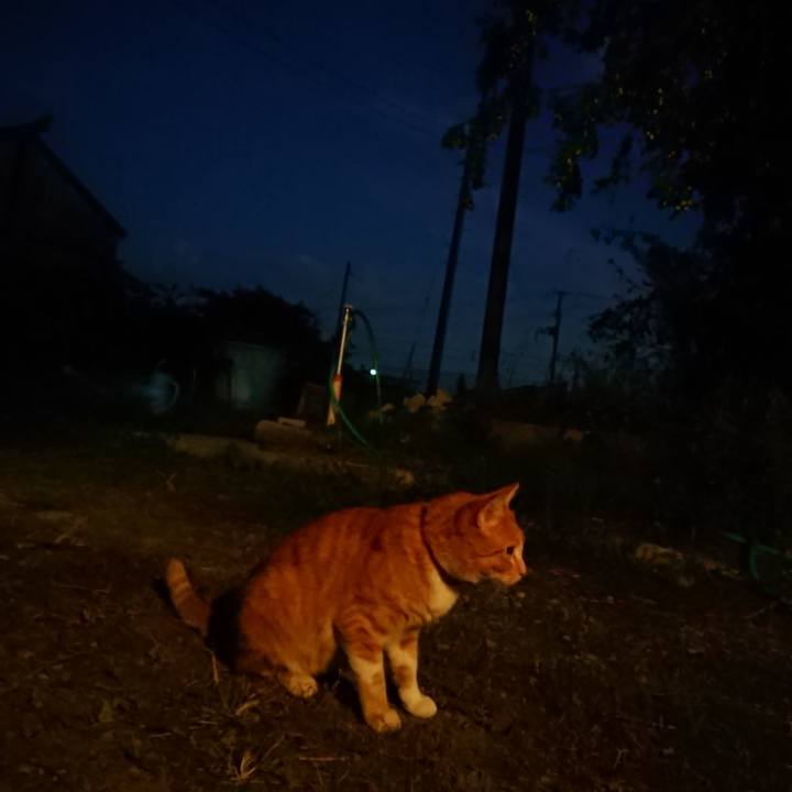 B887be29 903b 44c2 9b24 b8d048e73334 1569835597887