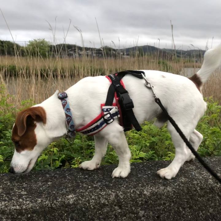 B8882b15 5ea9 485a 8ecb 5f485dc9967a 1556180433048