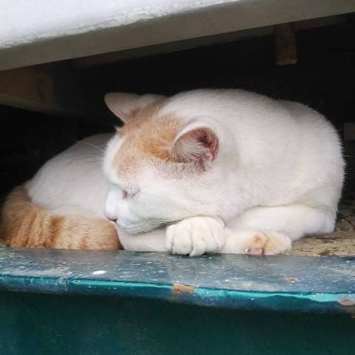 B8883ec6 9ef6 4783 8a25 d4a06b71c106 1631412334866