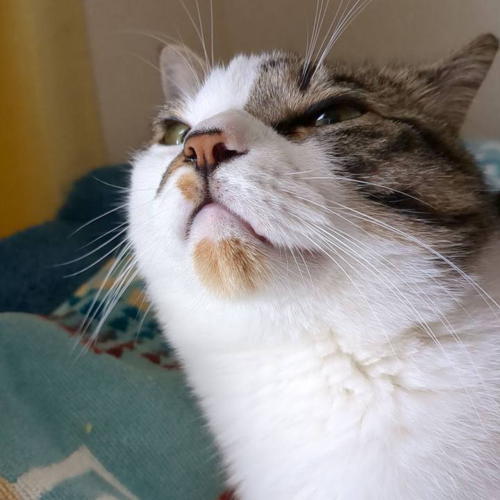 B88849e7 37ec 4004 aaa9 69208b0a8aa3 1683244813790