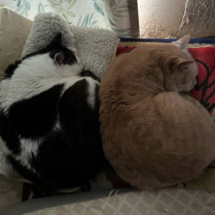 B88878df 07b0 4952 b83f 891de59e153f 1775864853274