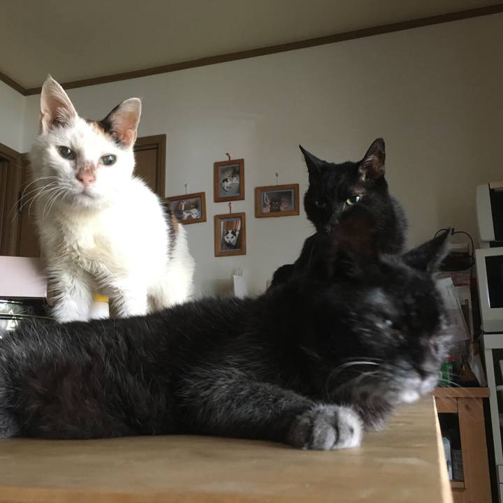 B8887be2 e0bb 4ff6 8f4a 9634af72845b 1533368975936