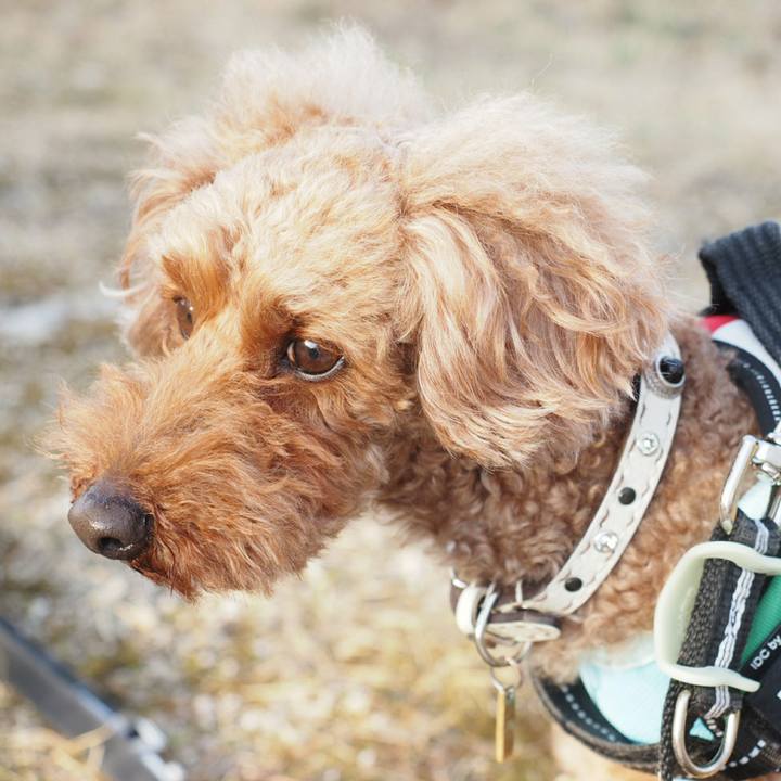 B8887d8f 9dda 44b2 9b3a c23661fab3c7 1519010344932