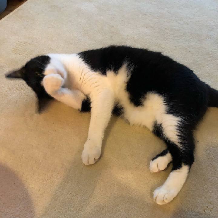 B888c44d 626c 4558 8428 ce95df0b456c 1534040220724