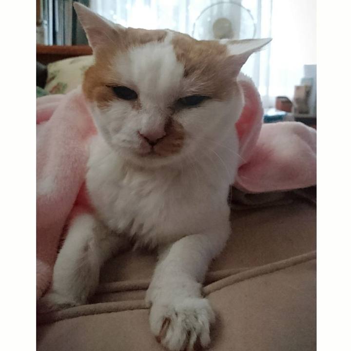 B888ca5e e122 49f6 97ff 8e4f072b0e07 1535866366204