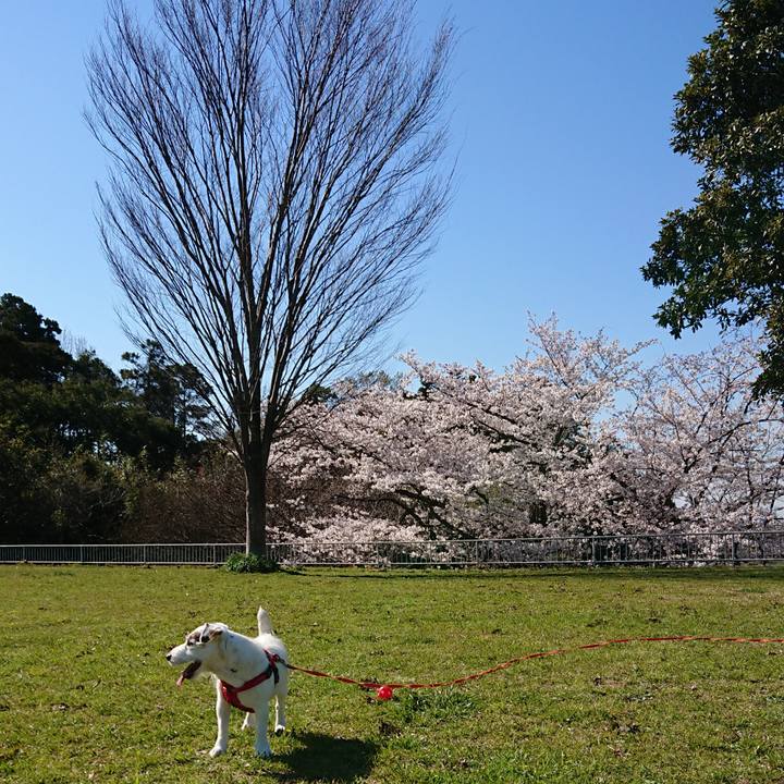 B888ed7a 4572 41f4 acd1 2a6ac5d9b71a 1554418571168