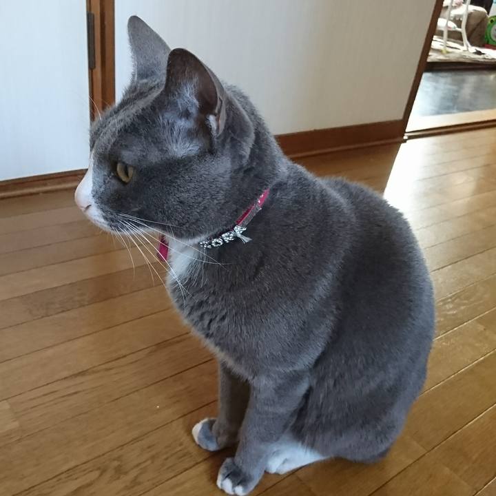 B88916e6 0d0e 4d6b 9da9 90ea6724bfa2 1510803731248