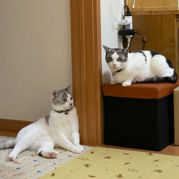 B8892ad2 13fb 4cfb 9119 dda405412416 1599278807427