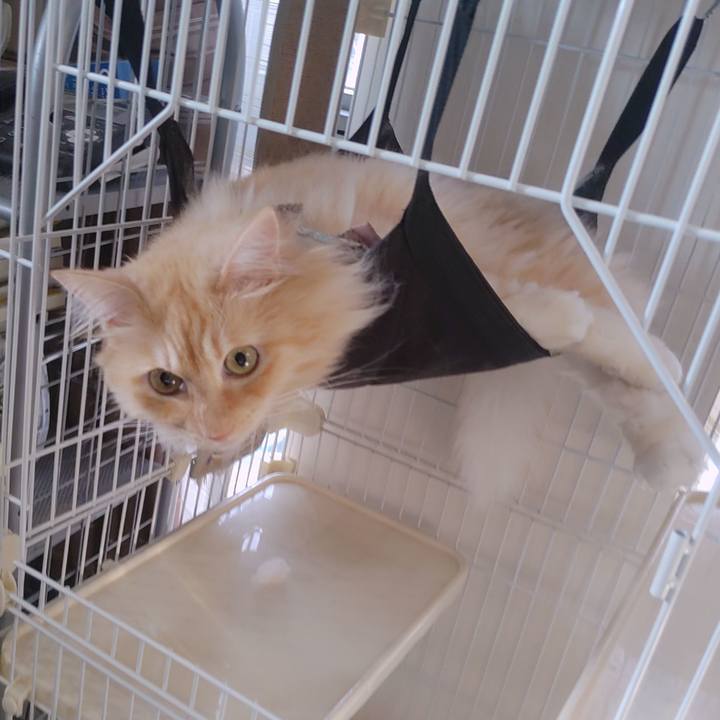 B8895ee5 22f3 48b9 bcdb 817ed08cad2e 1723157805530