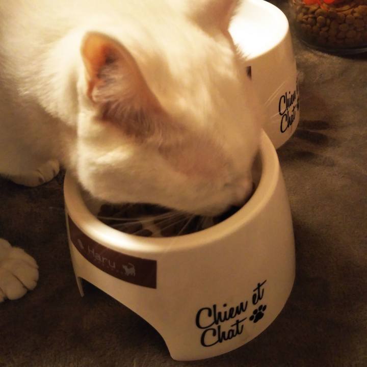 B88a0a8f 0500 4ca7 a4ef bf12d8a226a9 1554732938655