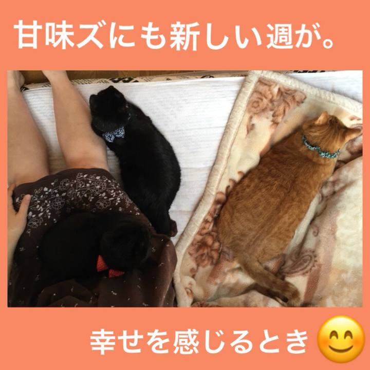 B88a35d1 d408 435b 857d c40736f333a6 1552168495408