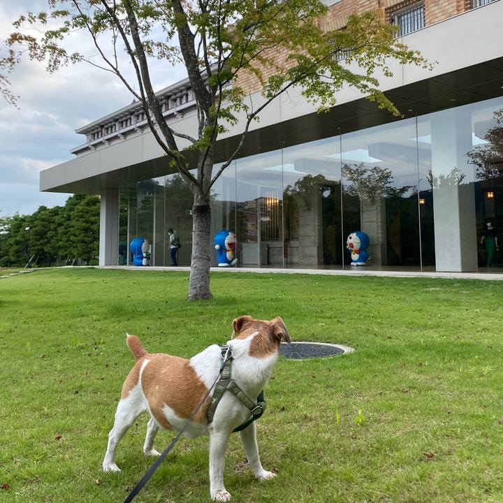 B88a43ee c5ce 4094 a589 24a0de54c42f 1629969351789