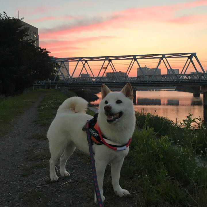 B88a4d18 8603 4e19 bc8b b5496edc024d 1529663178012