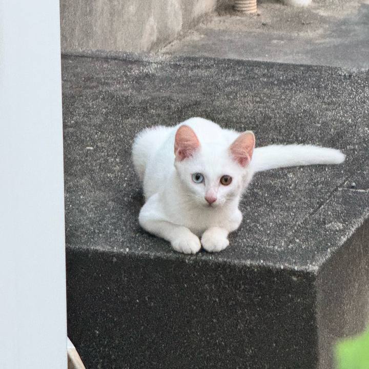 B88a6287 bcef 4891 b426 644827e7ecfc 1755080353452