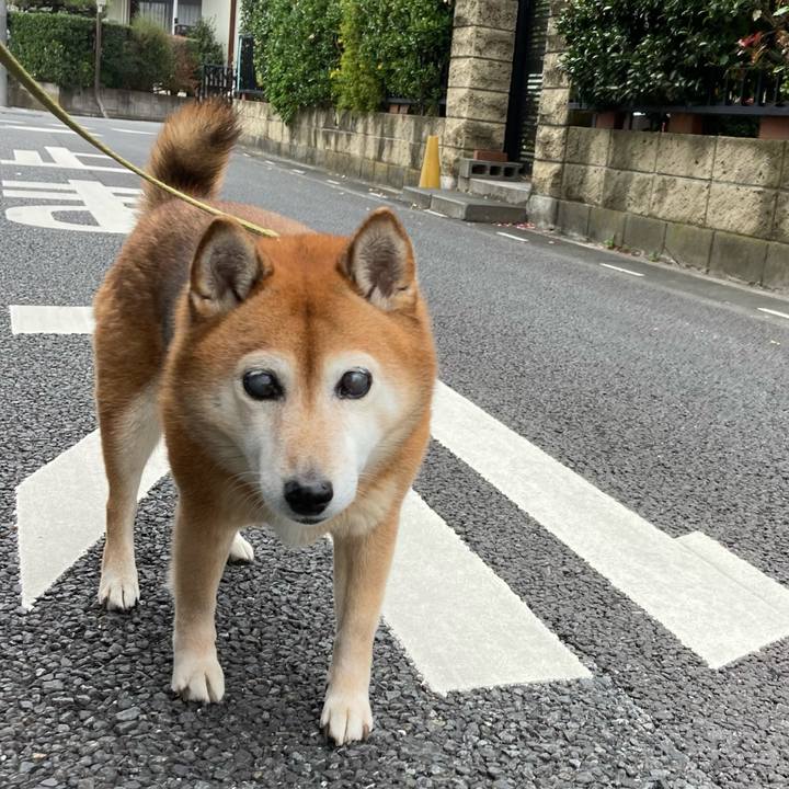 B88ab0ae 2c73 4327 927e 24d90b99ef01 1670040313054