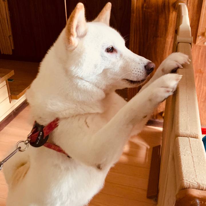 B88b1297 5812 473e a701 7de992a73c25 1568775973747