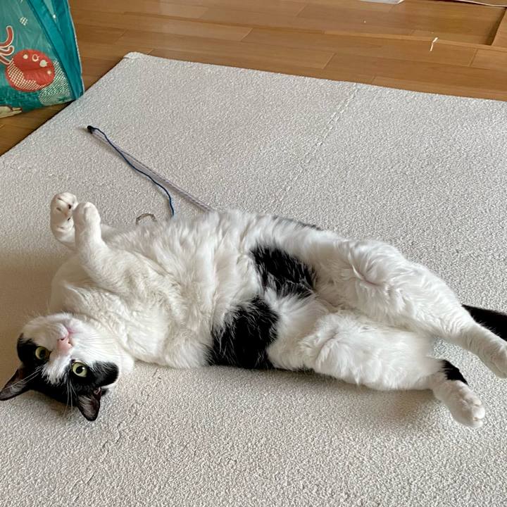 B88b2f42 672b 450d 924b 2d70e1e714a3 1685434856003