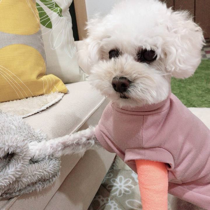 B88b85e1 a33a 48c3 873e a12a60da4ab7 1609217414743