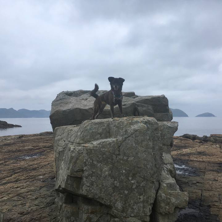 B88b895d 78a0 4417 9383 c5d7d71c0b96 1556183149987