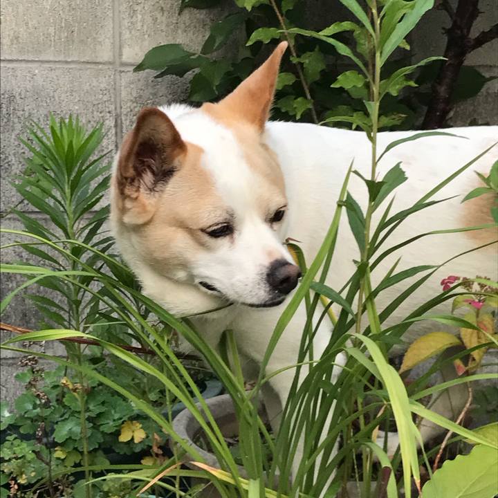 B88b8d93 6b11 4b2a b398 51b1ae250ec2 1689652116841