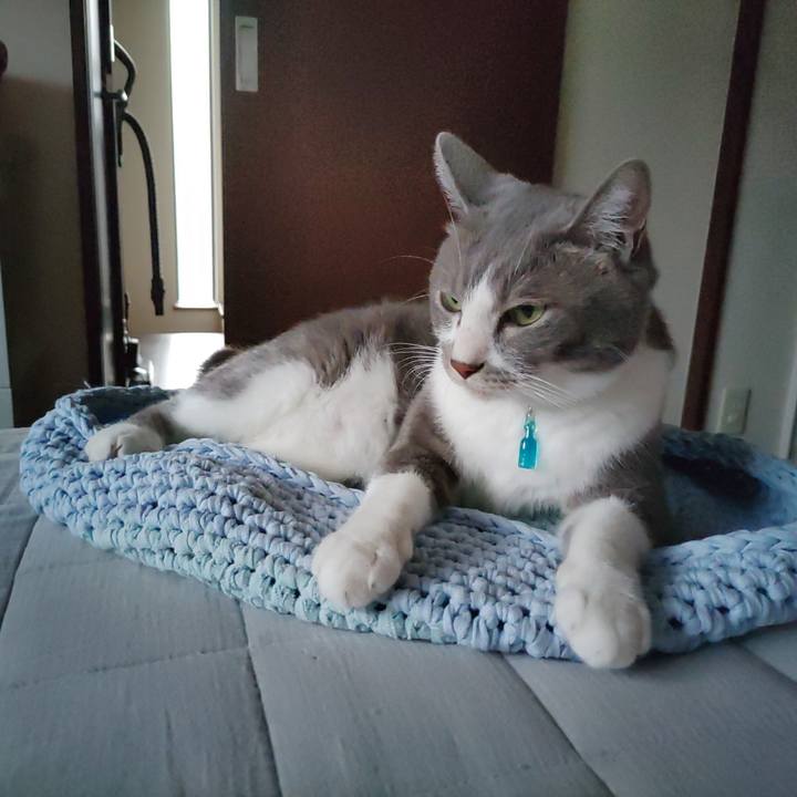 B88ba781 73db 4ec6 a0a5 02d49221bb65 1663018752679