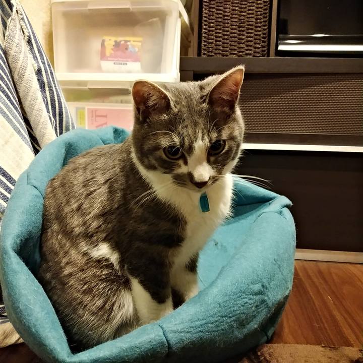 B88bb84d 7525 4ab1 9ec0 a5499055c3fe 1583768079135