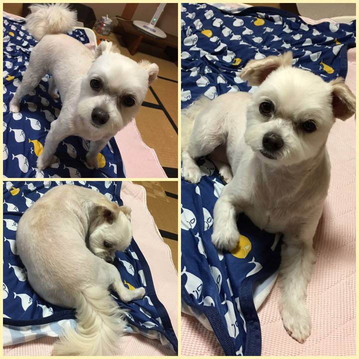 B88bf451 45b9 4d78 aa08 7607b5716f80 1566211370738