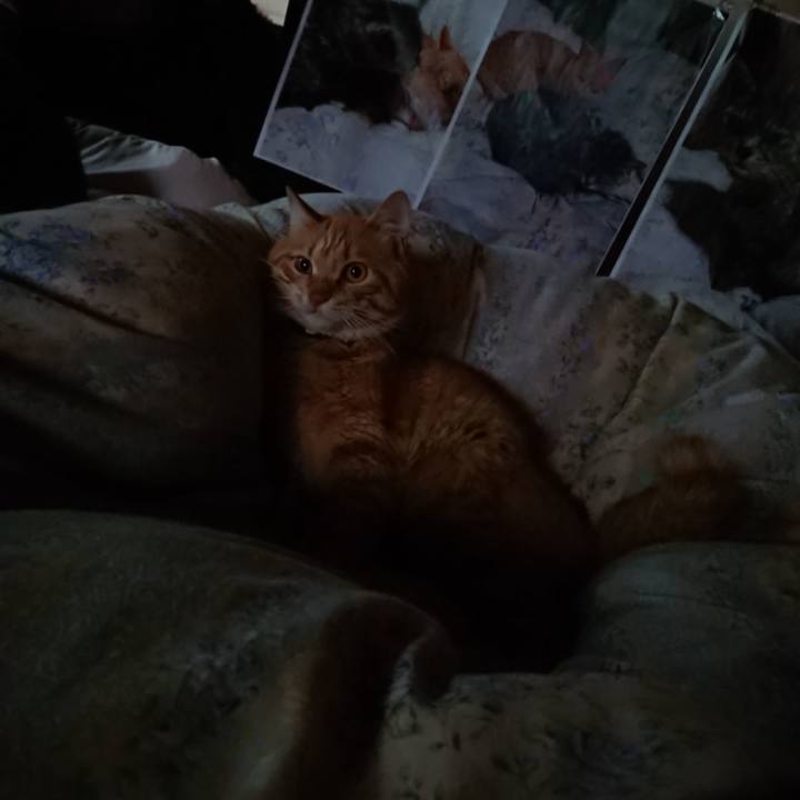 B88bf613 e9fc 4937 a90d 42ec4343124c 1656278927825